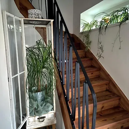 Apartament In Direkt An Der Erlauf, 65m2, Terrasse, Parkplatz, Hunde Willkommen